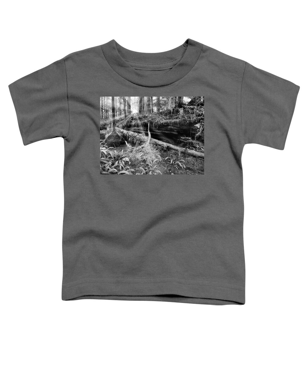 Black And White Photography Toddler T-Shirt featuring the photograph Centuries Old and Sunbeams by Allan Van Gasbeck