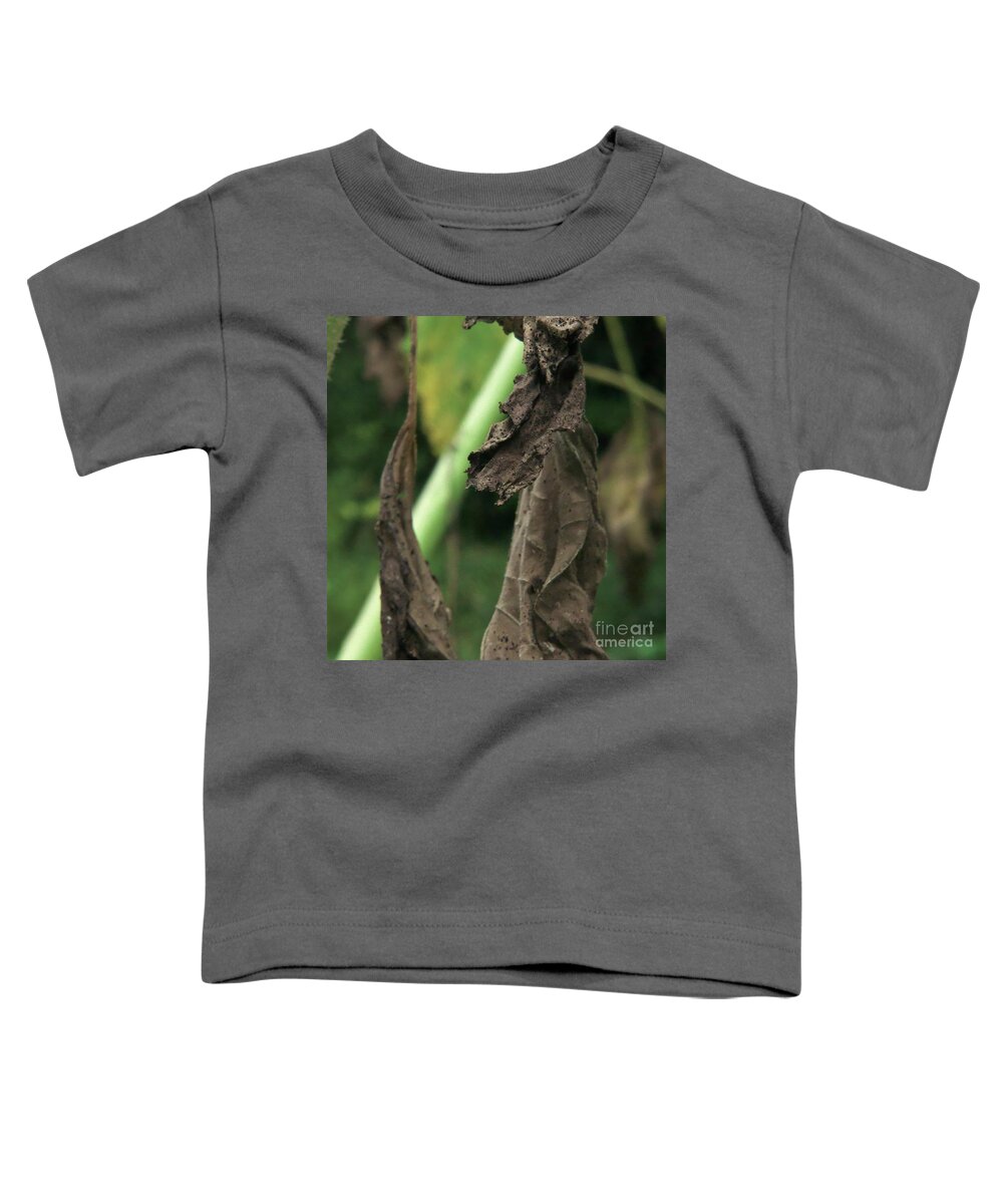 Dead Leaves Toddler T-Shirt featuring the photograph Change Of Seasons by Rosanne Licciardi