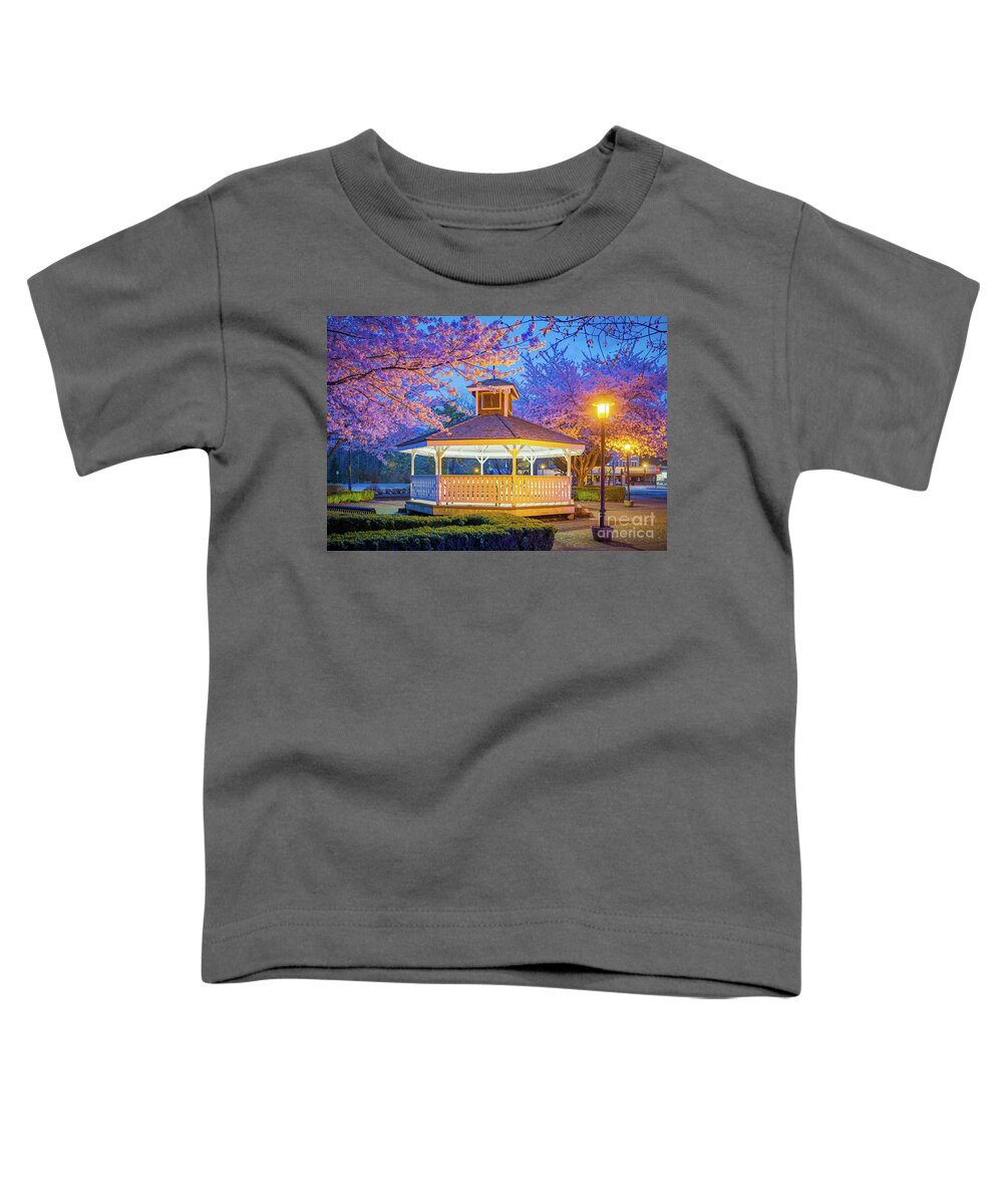 America Toddler T-Shirt featuring the photograph Cherry Blossom Gazebo by Inge Johnsson