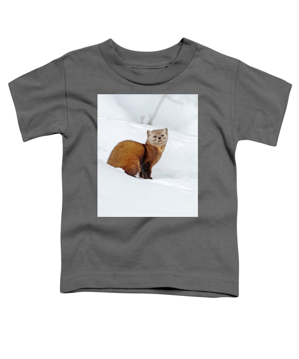 Nina Stavlund Toddler T-Shirt featuring the photograph Chiefly Arboreal by Nina Stavlund