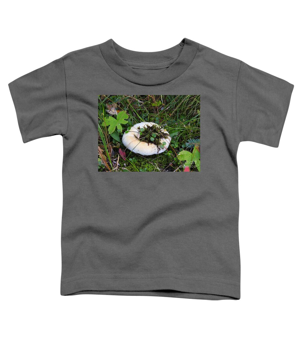 Mushroom Toddler T-Shirt featuring the photograph Chilcotin Forest Mushroom Garden by Nicola Finch