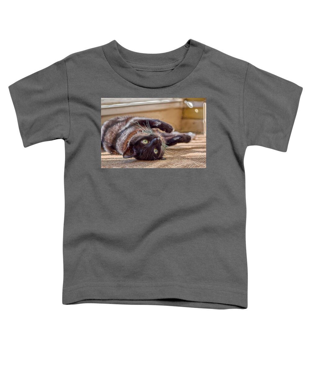 Cat Toddler T-Shirt featuring the photograph Chillin At Home by Raymond Hill