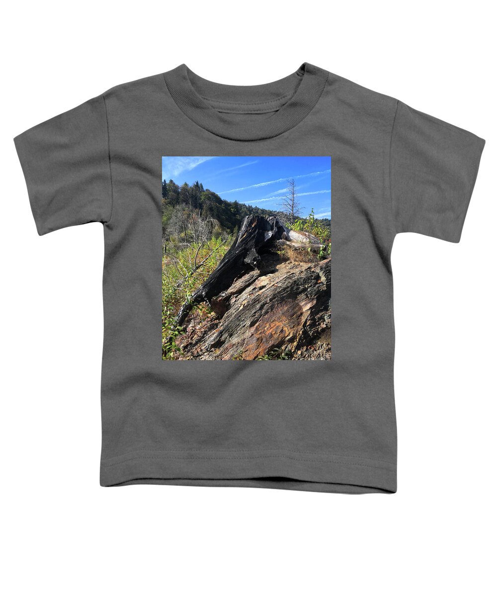 Chimney Tops Toddler T-Shirt featuring the photograph Chimney Tops 20 by Phil Perkins