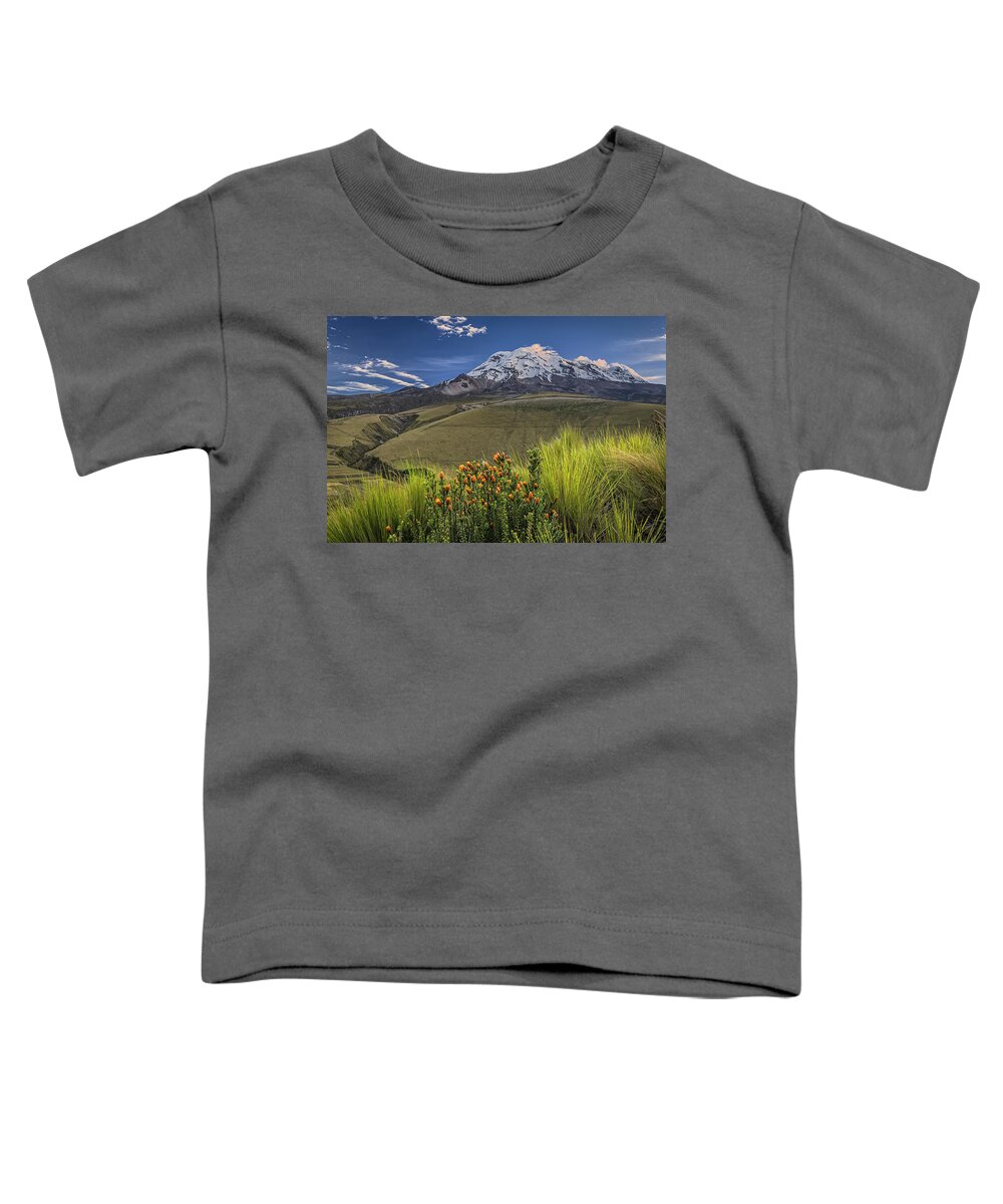 Andes Toddler T-Shirt featuring the photograph Chuquirahua and Chimborazo volcano at dawn by Henri Leduc