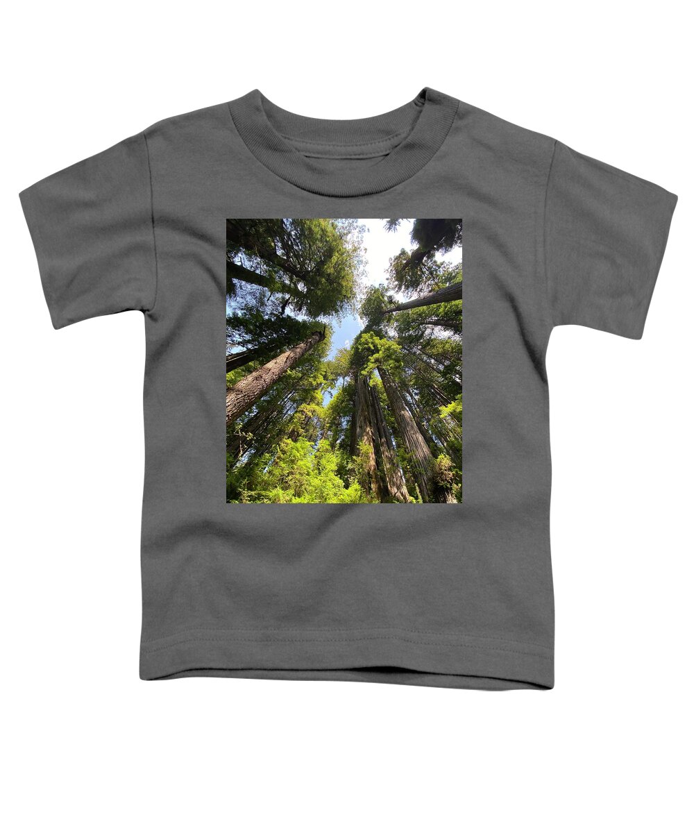 Redwoods Toddler T-Shirt featuring the photograph Circle of Friends by Daniele Smith