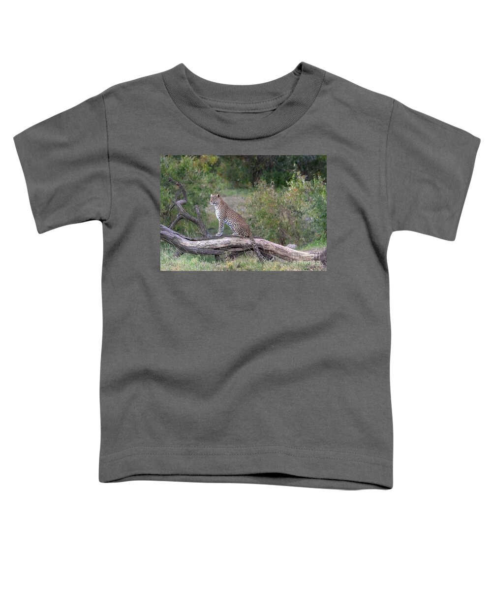 Animals Toddler T-Shirt featuring the photograph Classic Beauty by Sandra Bronstein