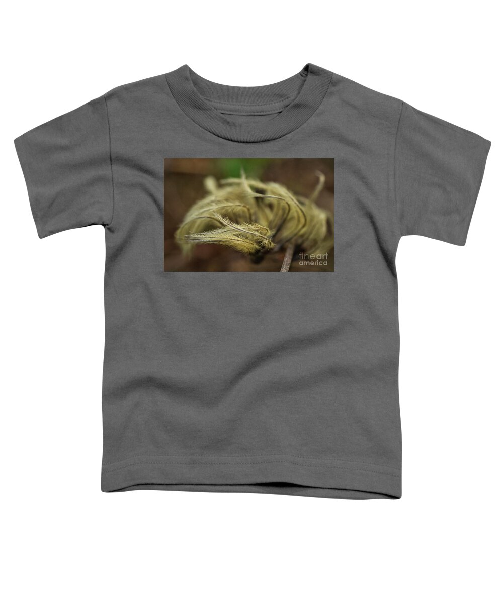 Clematis Seed Heads Toddler T-Shirt featuring the photograph Clematis seed heads by Iris Richardson