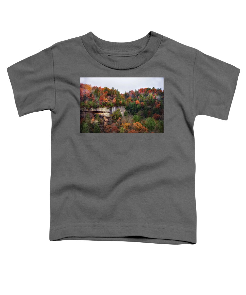Red River Valley Toddler T-Shirt featuring the photograph Cliffs of Red River Valley by Jolynn Reed