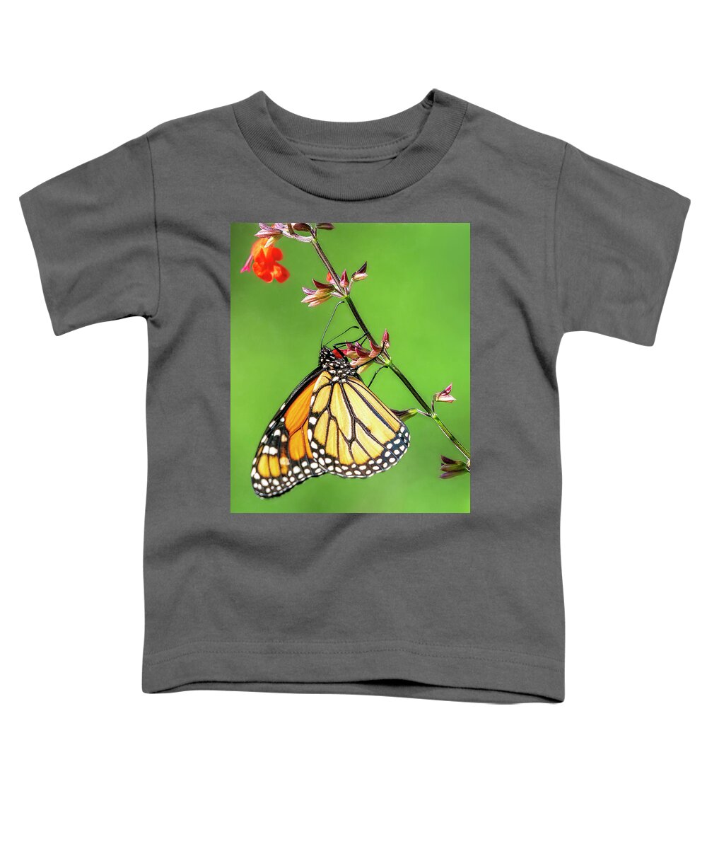 Butterfly Toddler T-Shirt featuring the photograph Climbing Up the Stalk by Betty Eich
