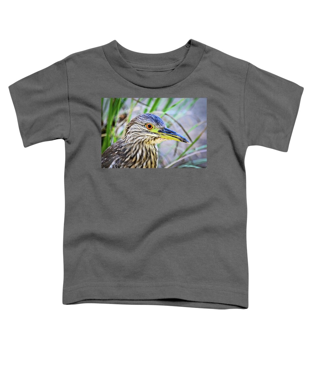 Bird Toddler T-Shirt featuring the photograph Close up of Yellow crowned night heron by Ed Stokes