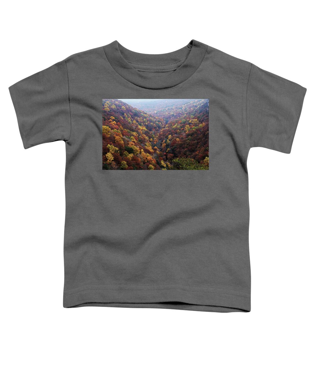 Cloudland Canyon Toddler T-Shirt featuring the photograph Cloudland Canyon, Ga. by Richard Krebs
