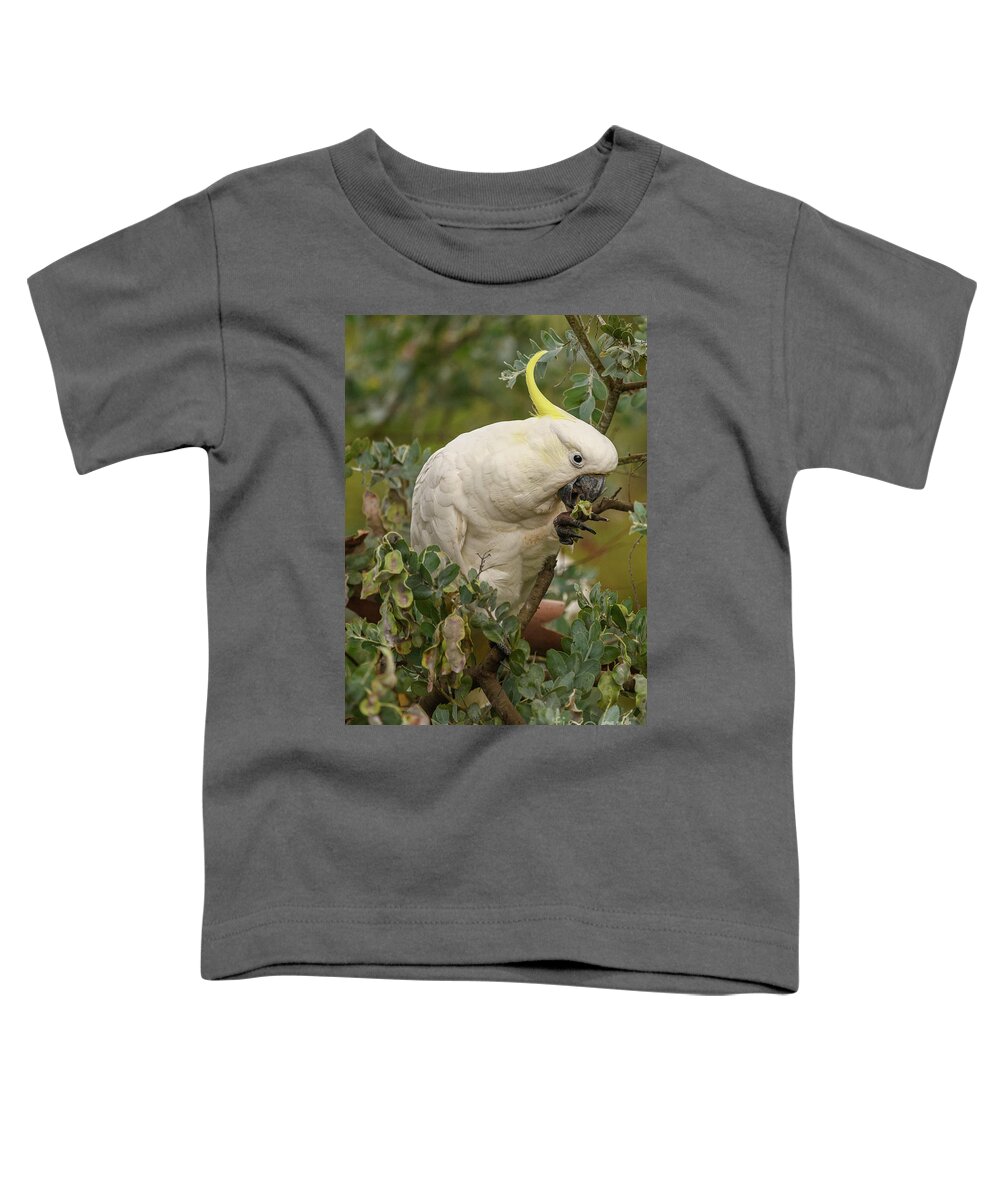Wildlife Toddler T-Shirt featuring the photograph Cockatoo 10 by Werner Padarin