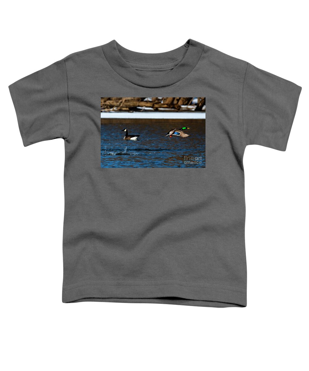 Goose Toddler T-Shirt featuring the photograph Colorful Goose and Duck by Sandra J's