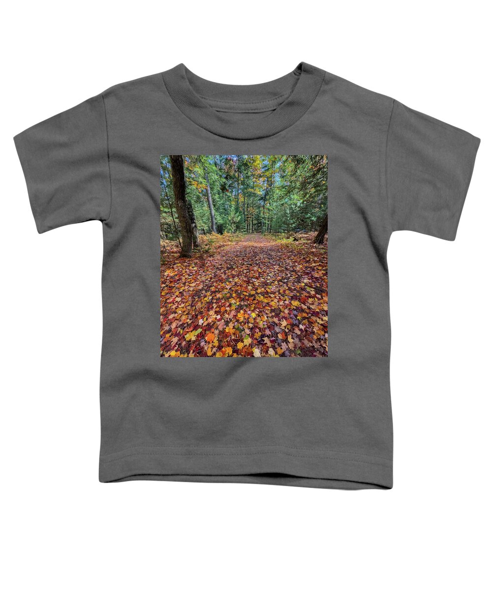 Tahquamenon Falls Toddler T-Shirt featuring the photograph Colors up the Driveway IMG_5873 by Michael Thomas