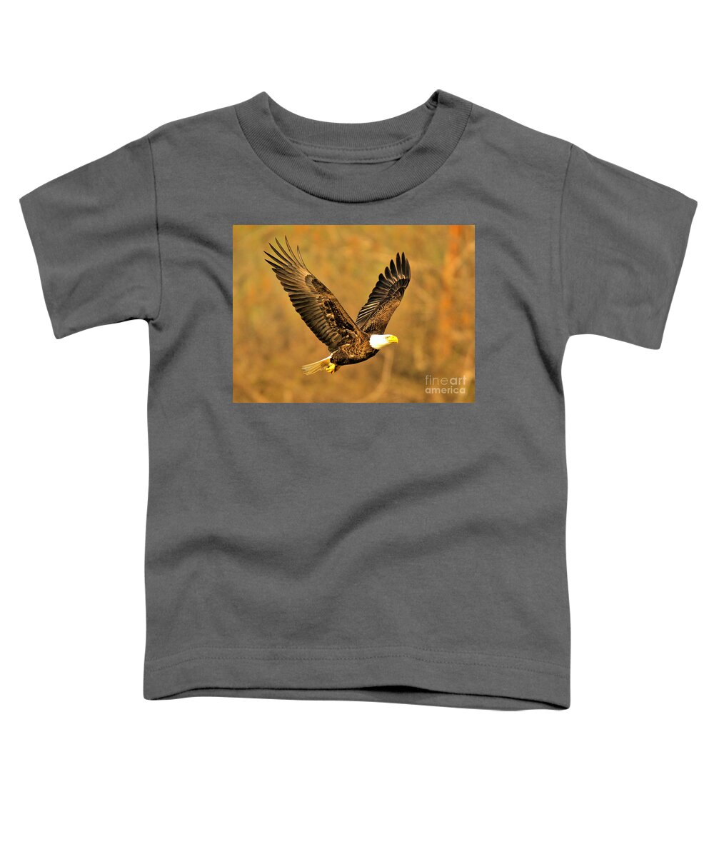 Conowingo Toddler T-Shirt featuring the photograph Conowingo Eagle In Golden Light by Adam Jewell