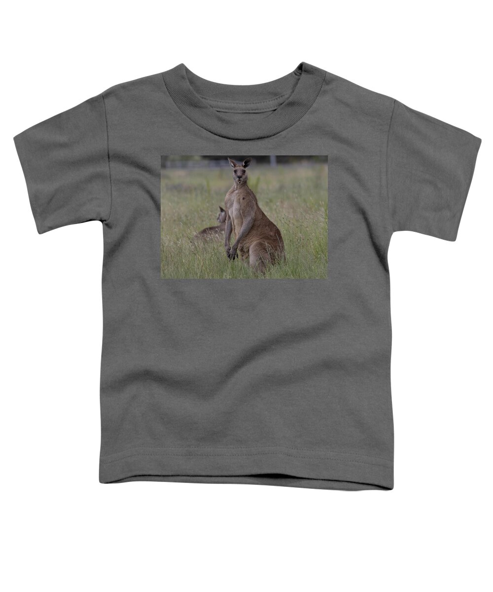 Landscape Toddler T-Shirt featuring the photograph Content by Masami IIDA
