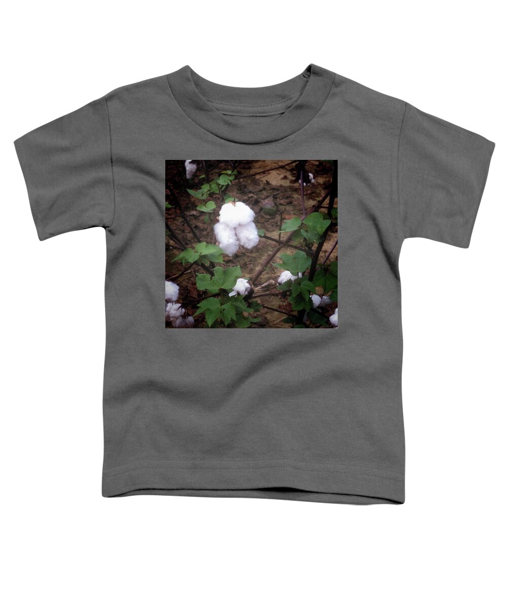 Cotton Toddler T-Shirt featuring the photograph Cotton Boll Ready to Be Picked by James C Richardson
