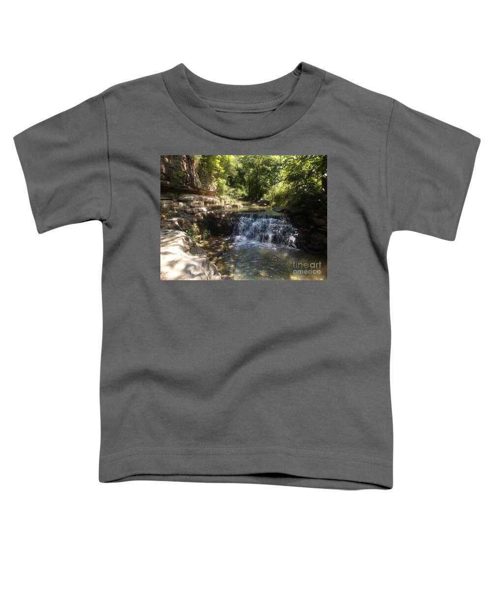 Creek Toddler T-Shirt featuring the photograph Cove Creek 2021 by David Neace