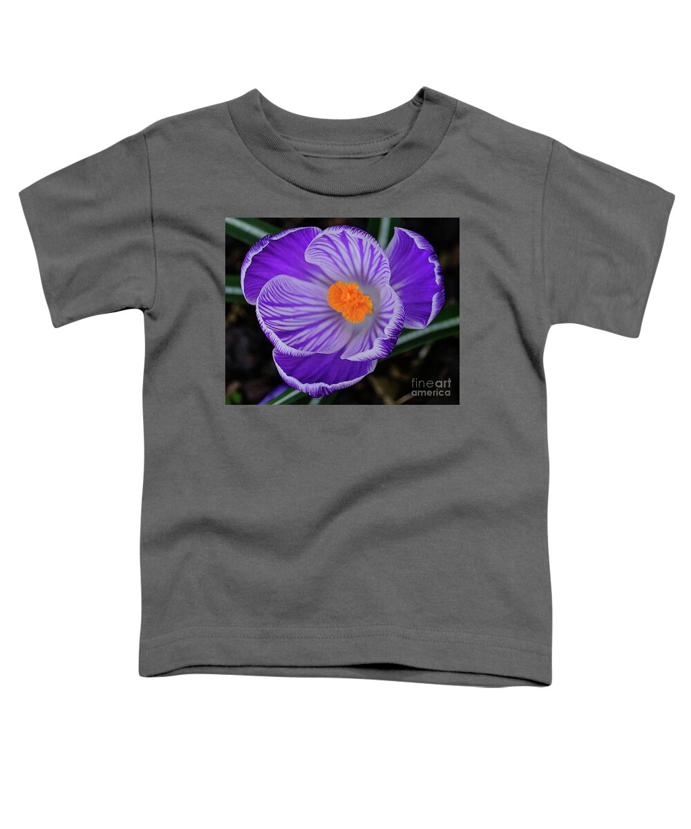 Crocus Toddler T-Shirt featuring the photograph Crocus From Above by Neil Maclachlan