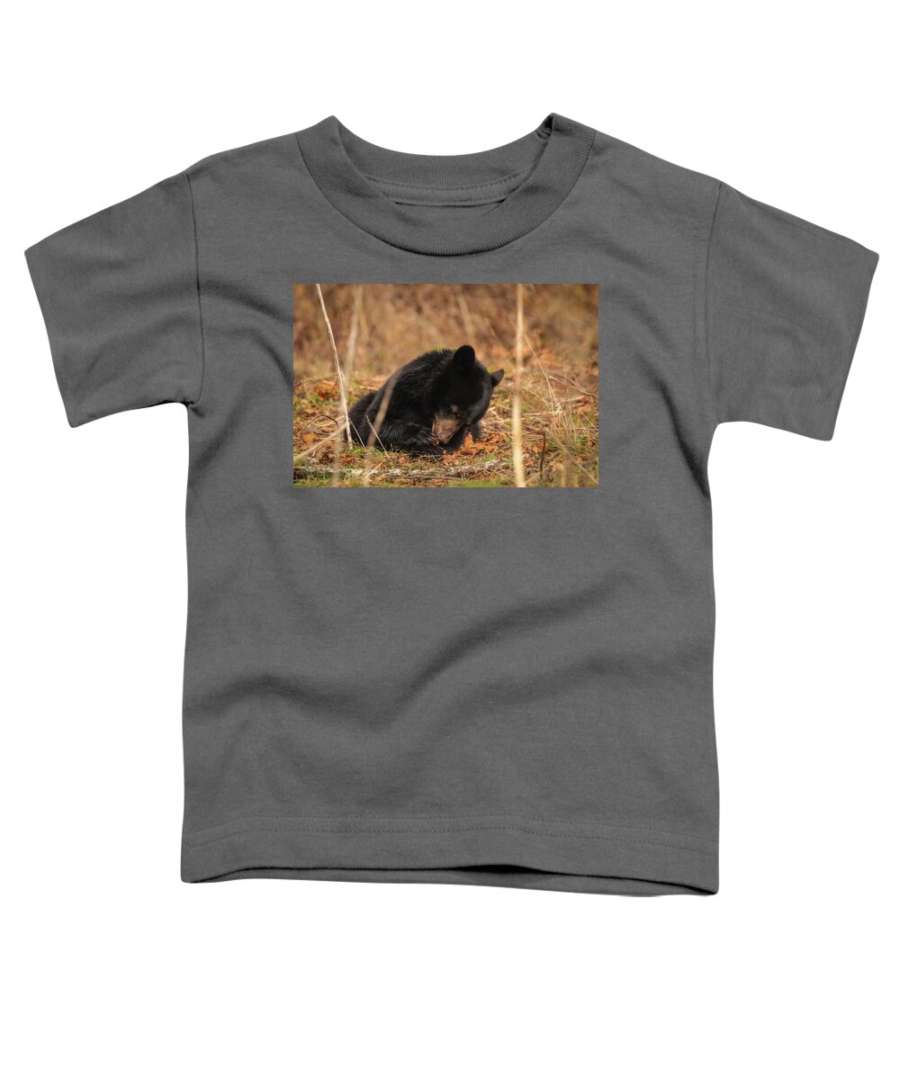 Great Smoky Mountains National Park Toddler T-Shirt featuring the photograph Cute Black Bear Cub by Robert J Wagner