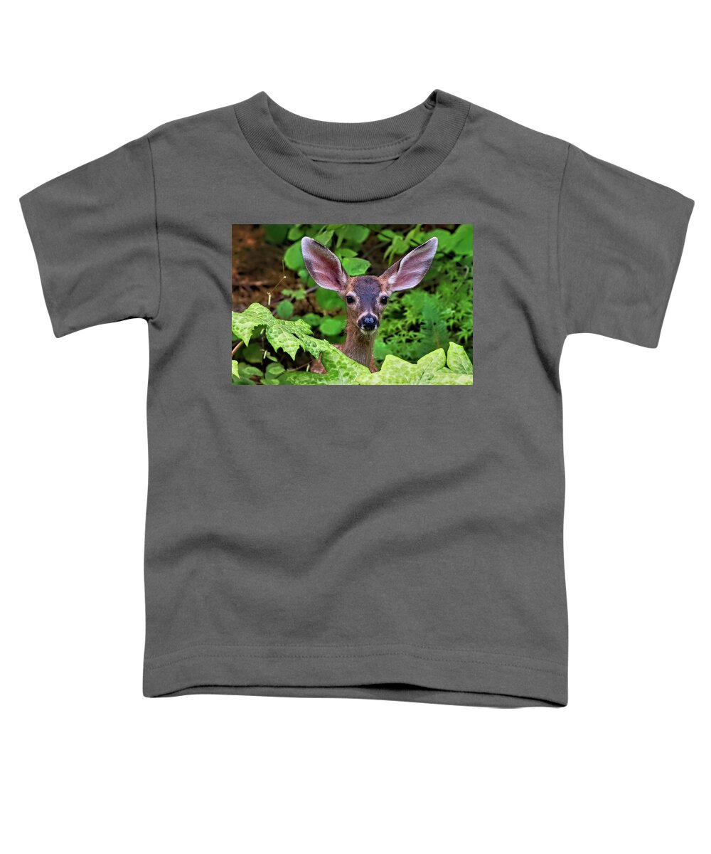 Fawn Toddler T-Shirt featuring the photograph Cute Fawn Deer Browsing the Garden by Kathleen Bishop