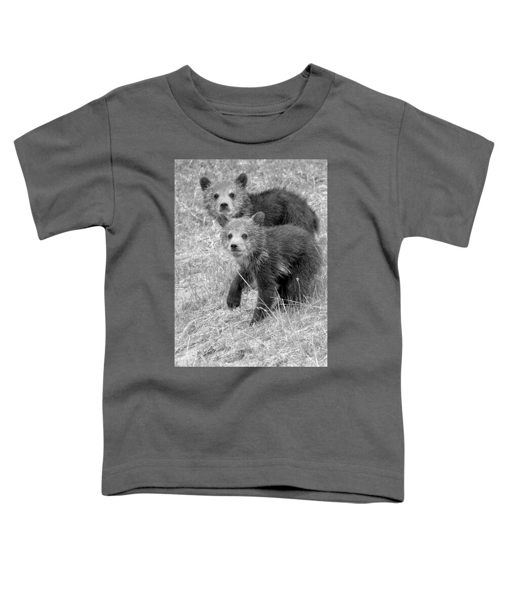 Grizzly Toddler T-Shirt featuring the photograph Cute Grizzly Bear Cub Portrait Black And White by Adam Jewell