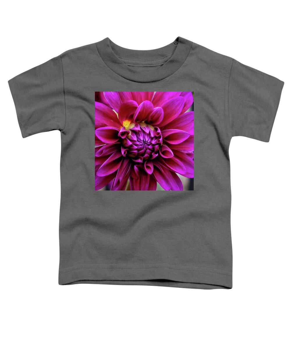 Flower Toddler T-Shirt featuring the photograph Dahlia Squared-2 by John Kirkland
