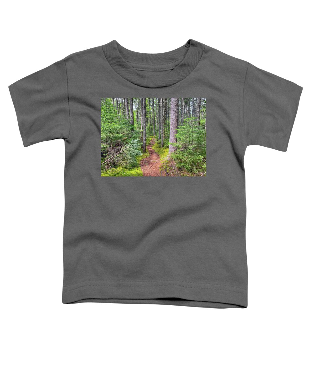 Hiking Toddler T-Shirt featuring the photograph Daicey Pond Nature Trail by Monika Salvan
