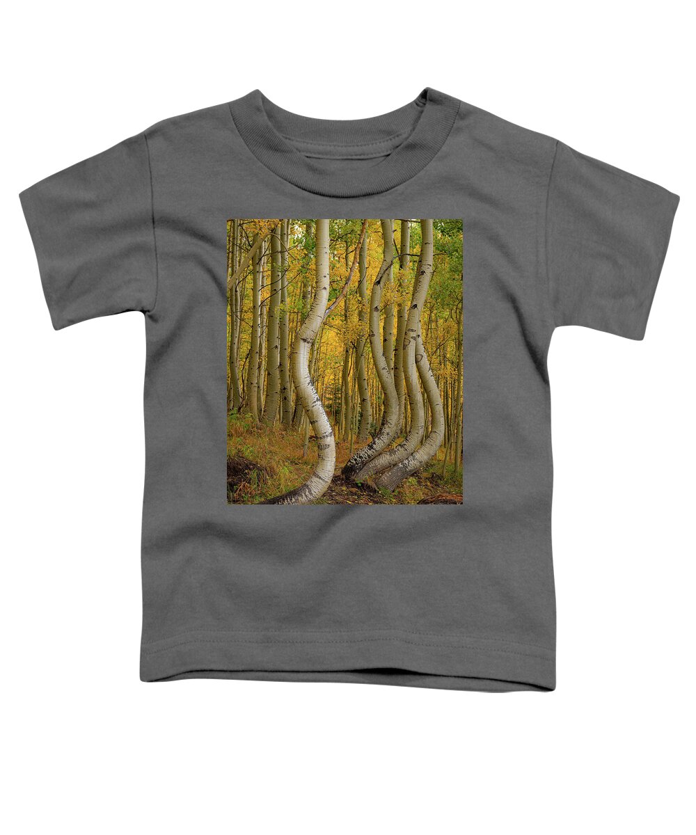 Colorado Toddler T-Shirt featuring the photograph Dancing Aspens by David Downs