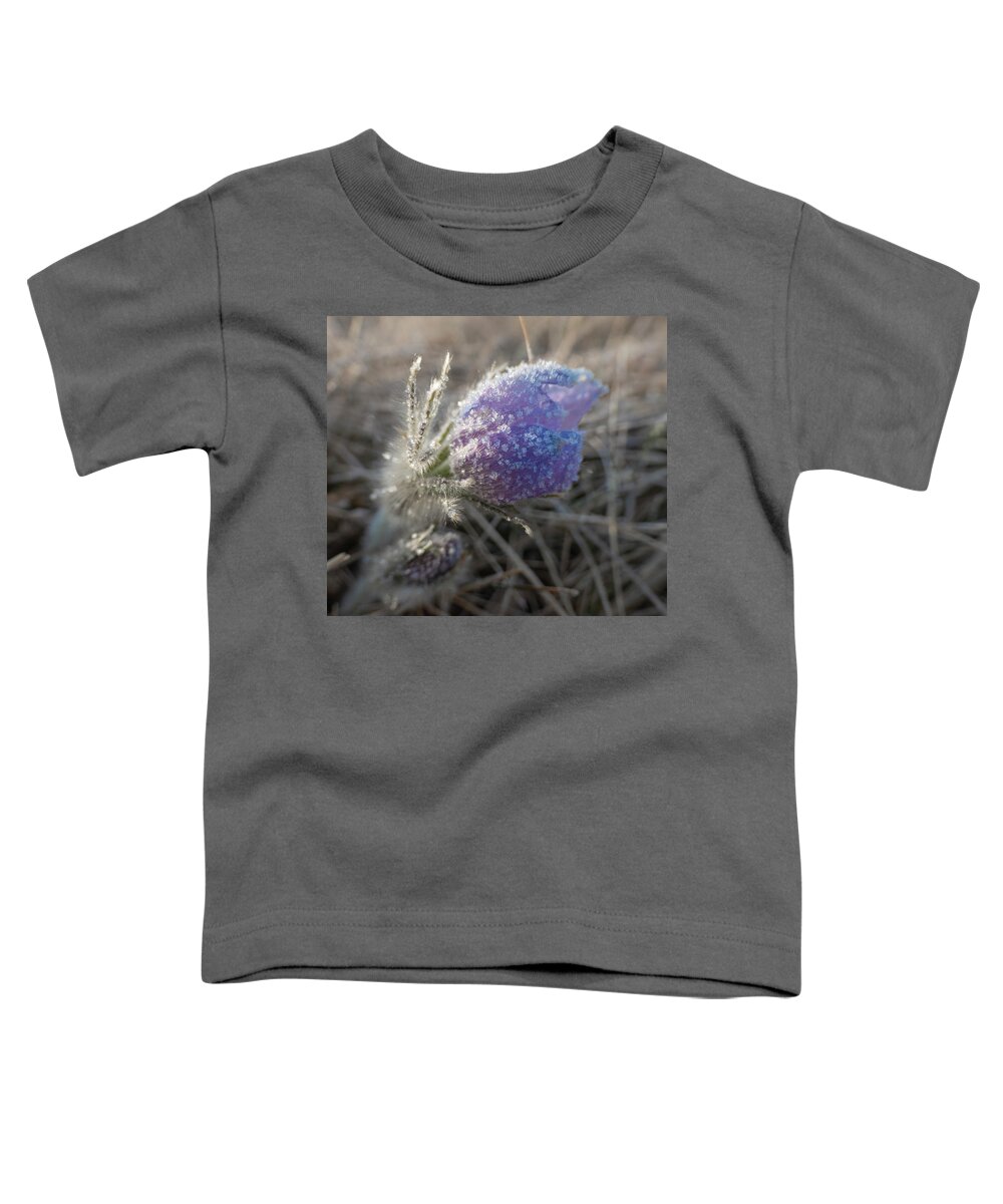 Frost Toddler T-Shirt featuring the photograph Dawn Frost On A Spring Crocus by Karen Rispin