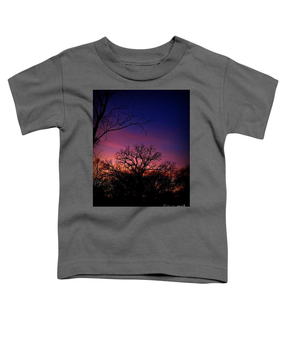 Landscape Photography Toddler T-Shirt featuring the photograph December Sunset Silhouette by Frank J Casella