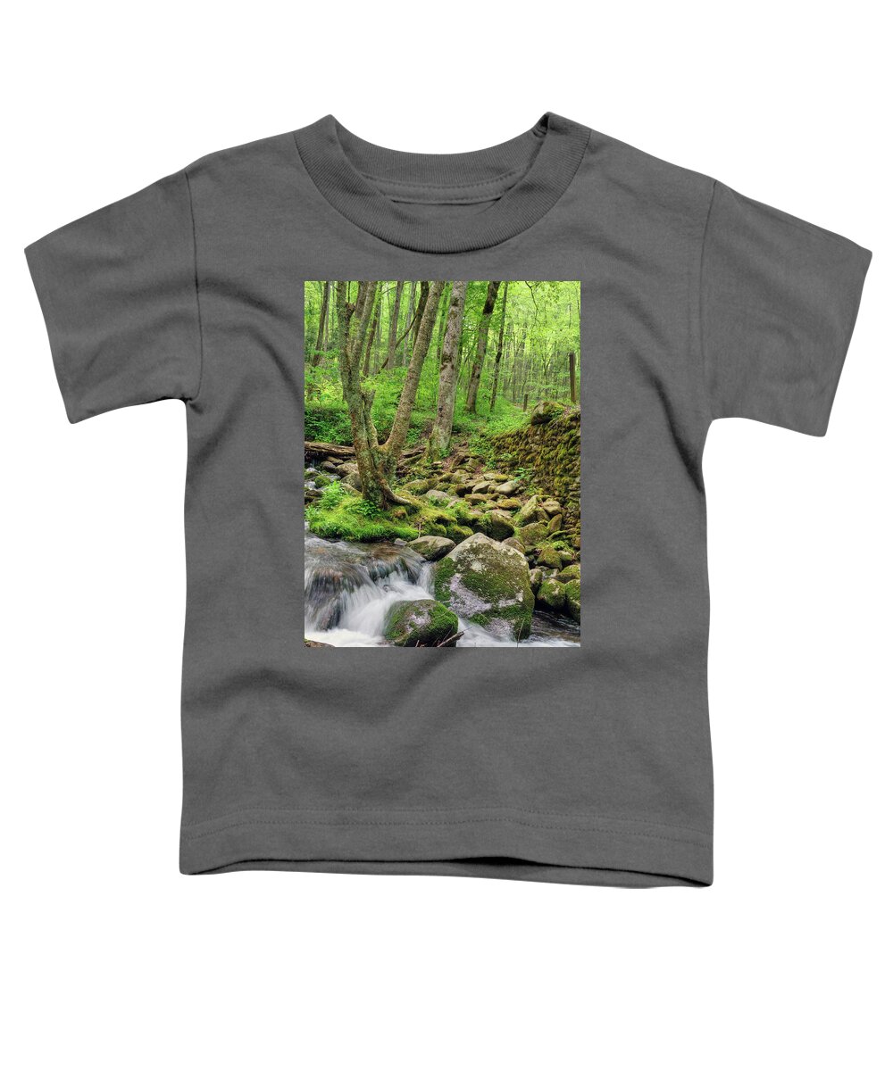 Stream Toddler T-Shirt featuring the photograph Deep Forest Tapestry by Randall Dill