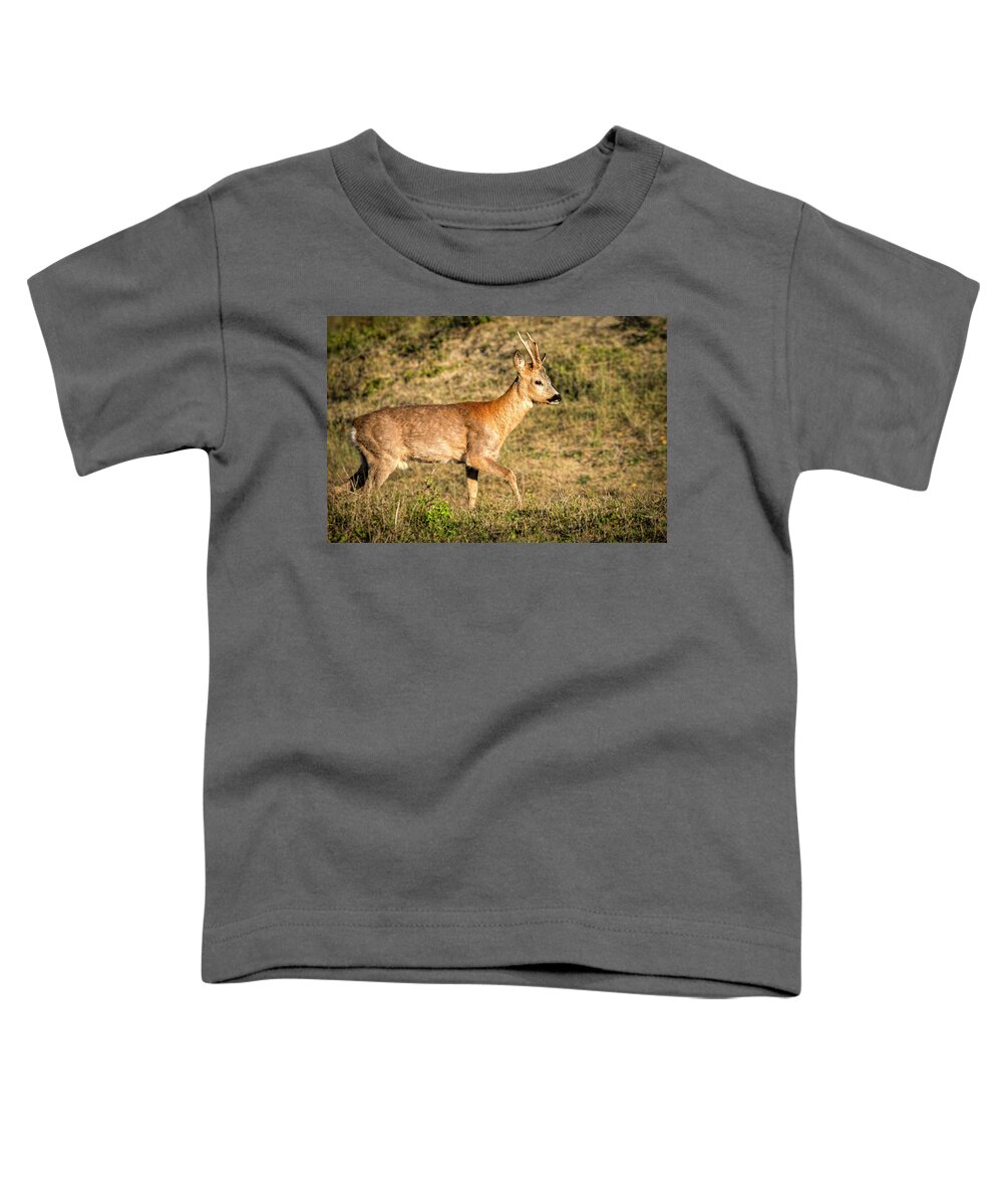Deer Toddler T-Shirt featuring the photograph Deer In Dune Area by Marjolein Van Middelkoop