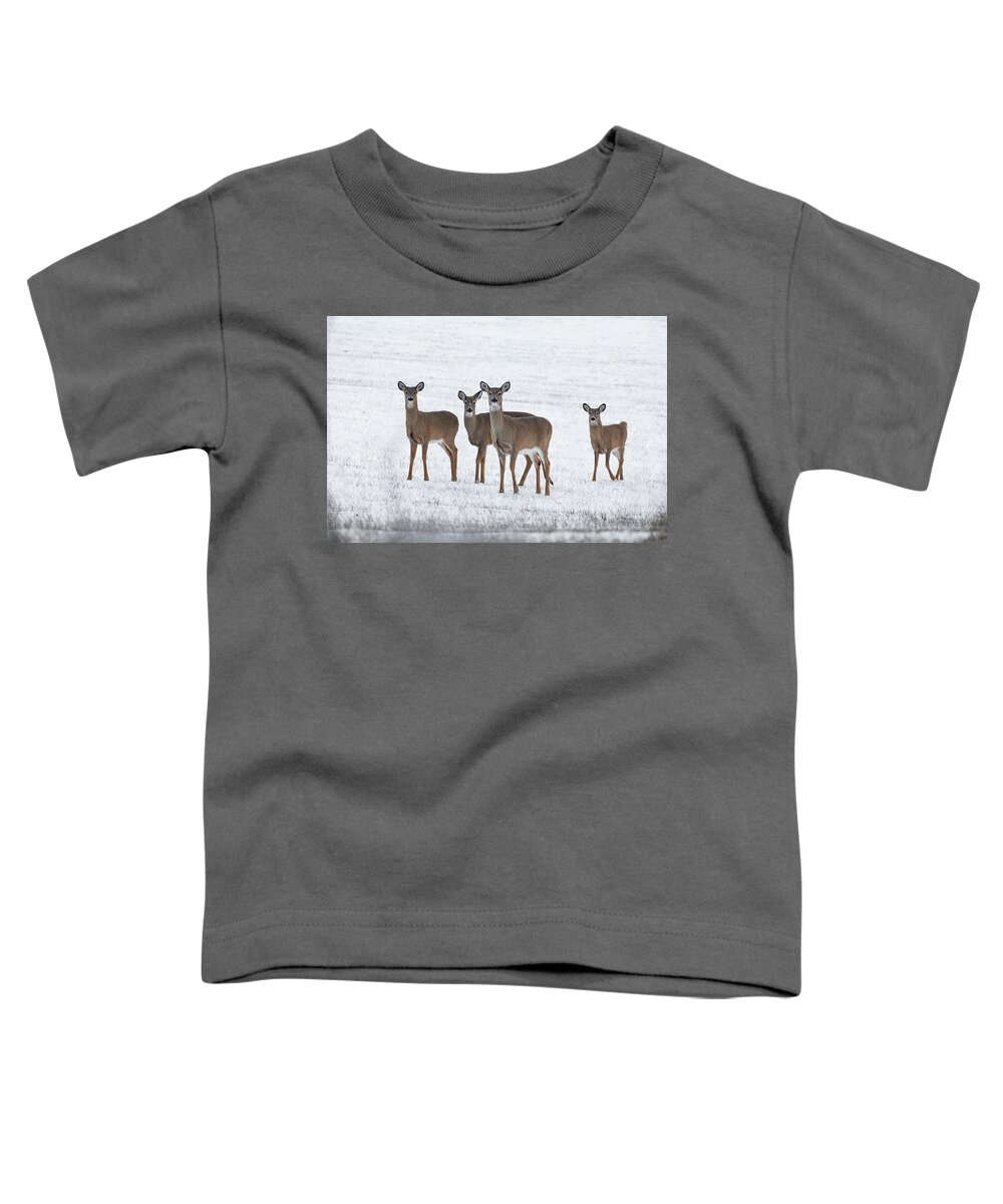 Deer Toddler T-Shirt featuring the photograph Deer in Fresh Snow by Denise Kopko
