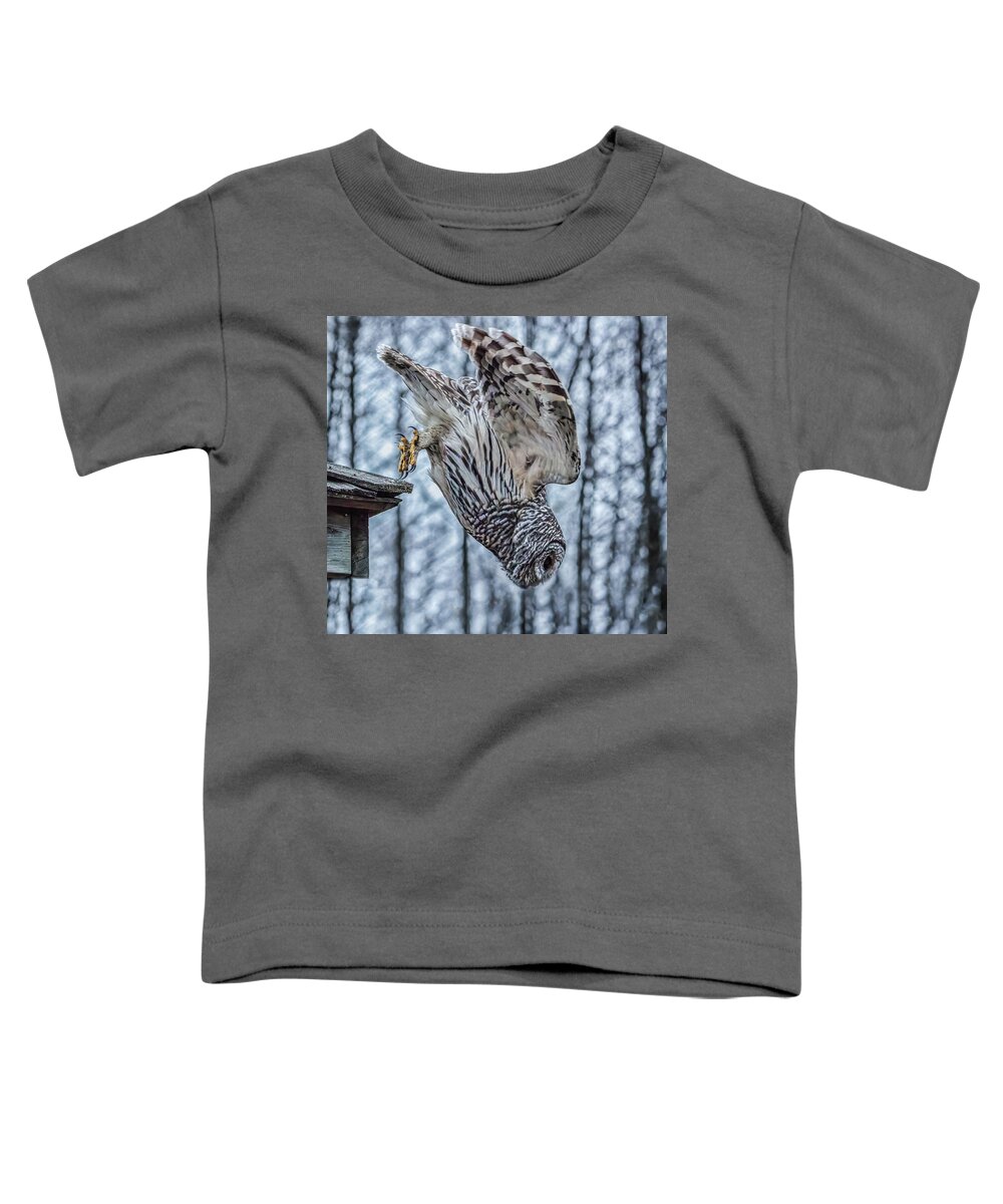 Barred Owl Toddler T-Shirt featuring the photograph Dive by Brad Bellisle