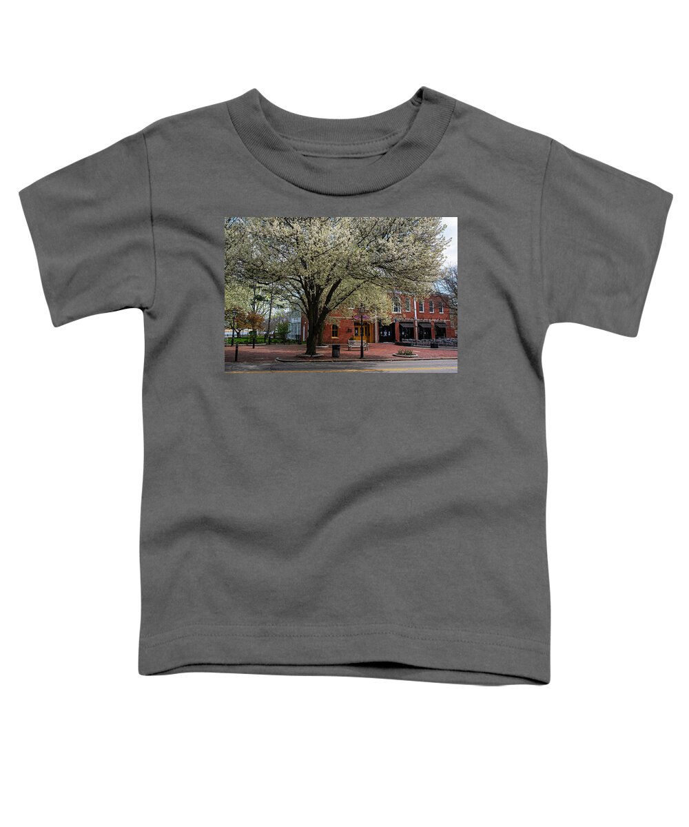 Newburyport Toddler T-Shirt featuring the photograph Downtown Newburyport MA Spring Tree Merrimack River by Toby McGuire
