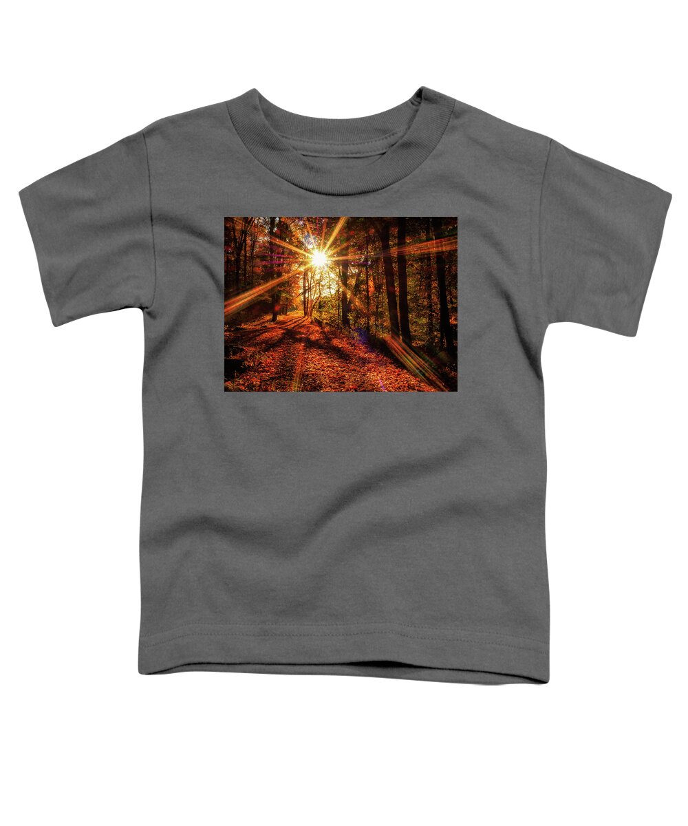 Moody Toddler T-Shirt featuring the photograph Drama on the Trail by Marianne Campolongo