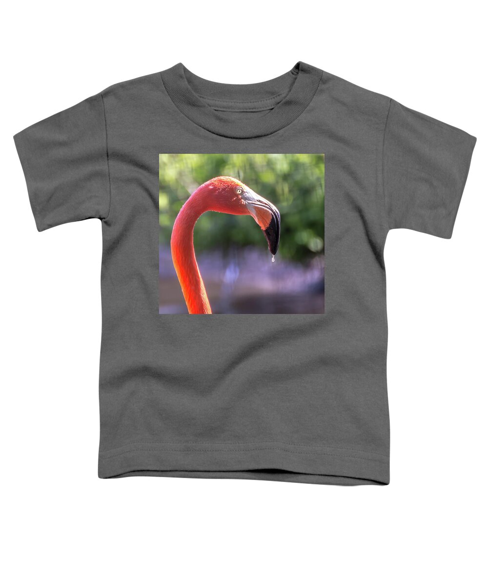 Zoo Toddler T-Shirt featuring the photograph Dripping flamingo by Robert Miller