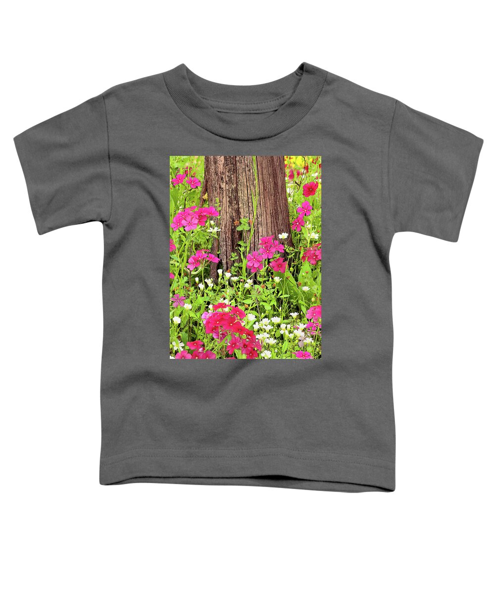 Dave Welling Toddler T-Shirt featuring the photograph Drummonds Phlox Phlox Drummondii Texas by Dave Welling