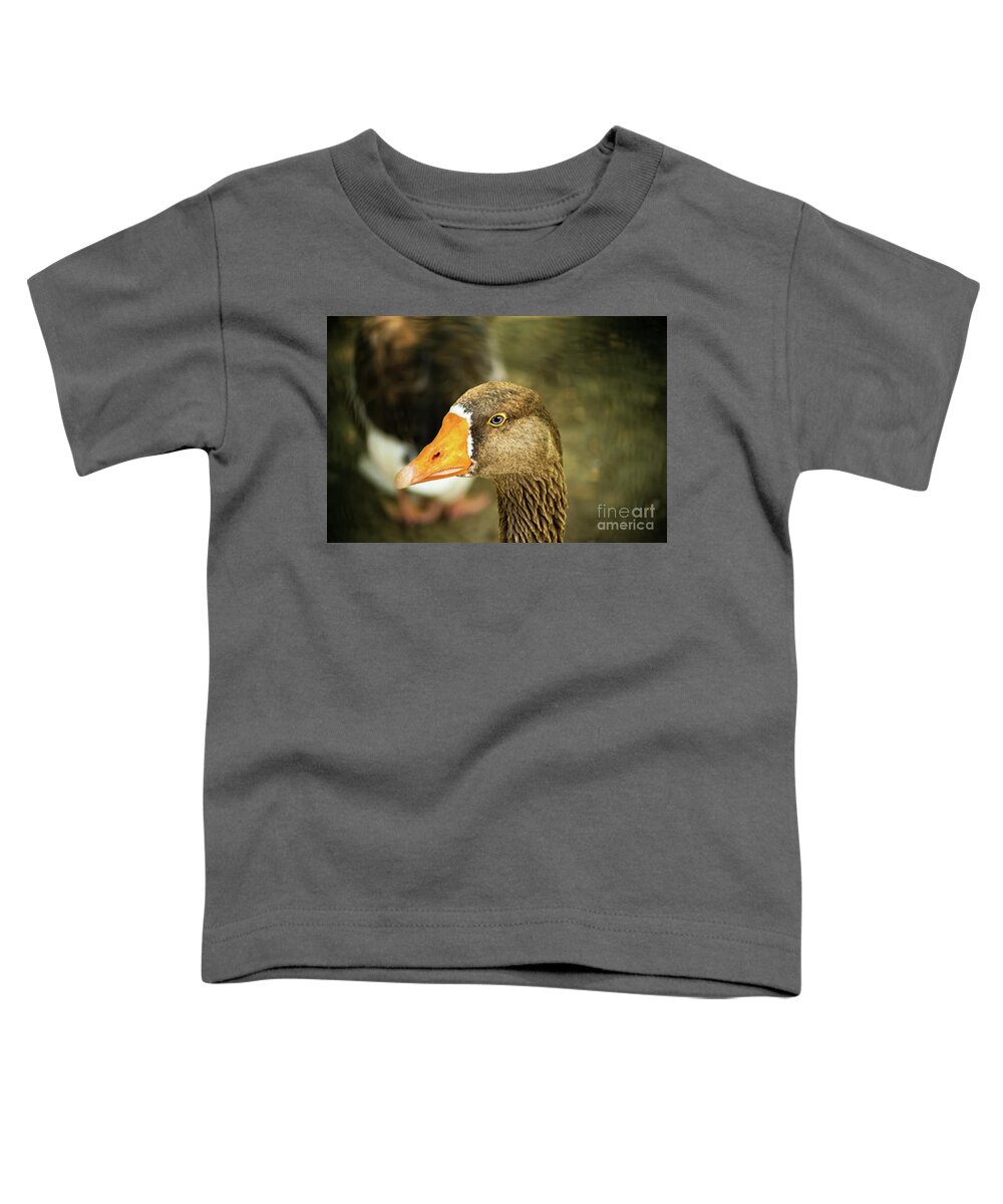 Duck Toddler T-Shirt featuring the photograph Duck face by Mendelex Photography