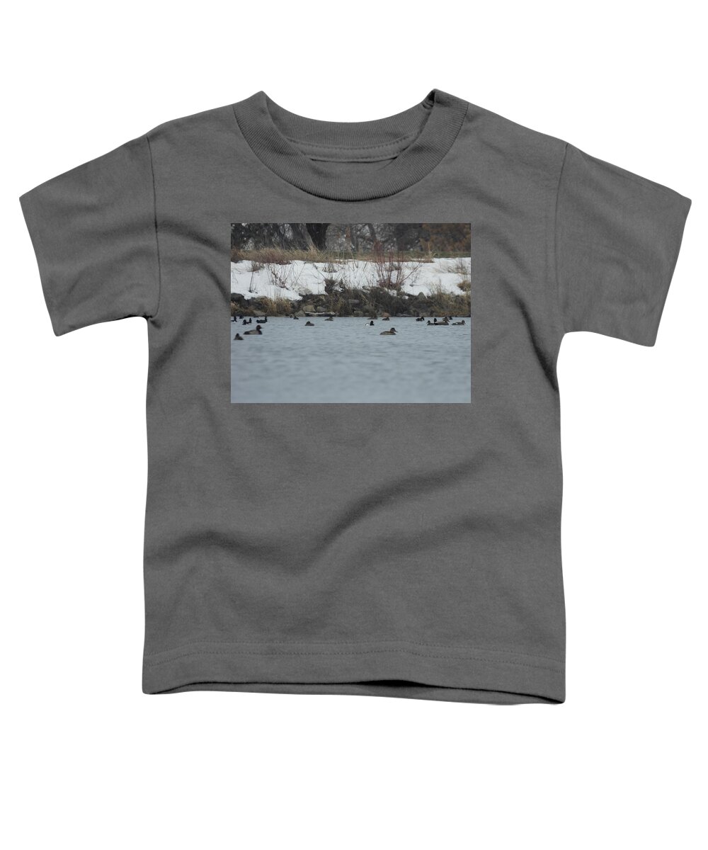 Spring Toddler T-Shirt featuring the photograph Ducks On The Water by Amanda R Wright