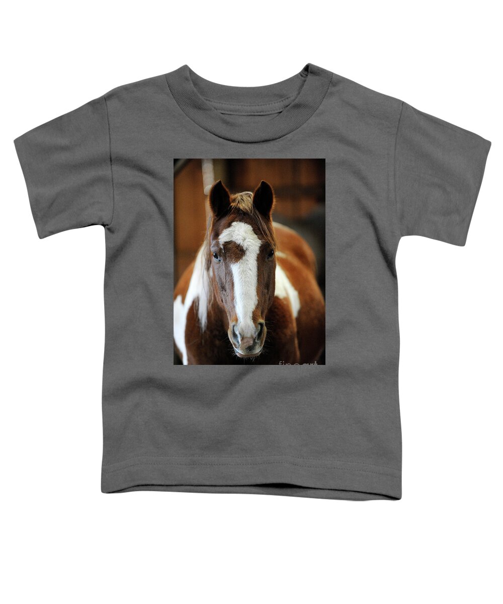 Rosemary Farm Toddler T-Shirt featuring the photograph Duke by Carien Schippers
