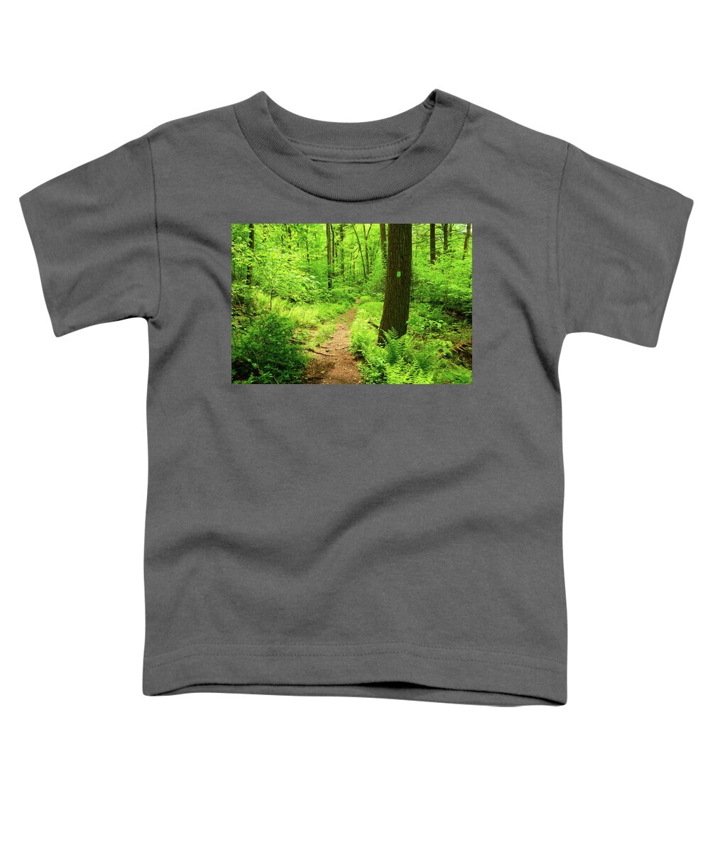 Dwg Dunnfield Creek Spring Green And Trail Blaze Toddler T-Shirt featuring the photograph DWG Dunnfield Creek Spring Green and Trail Blaze by Raymond Salani III