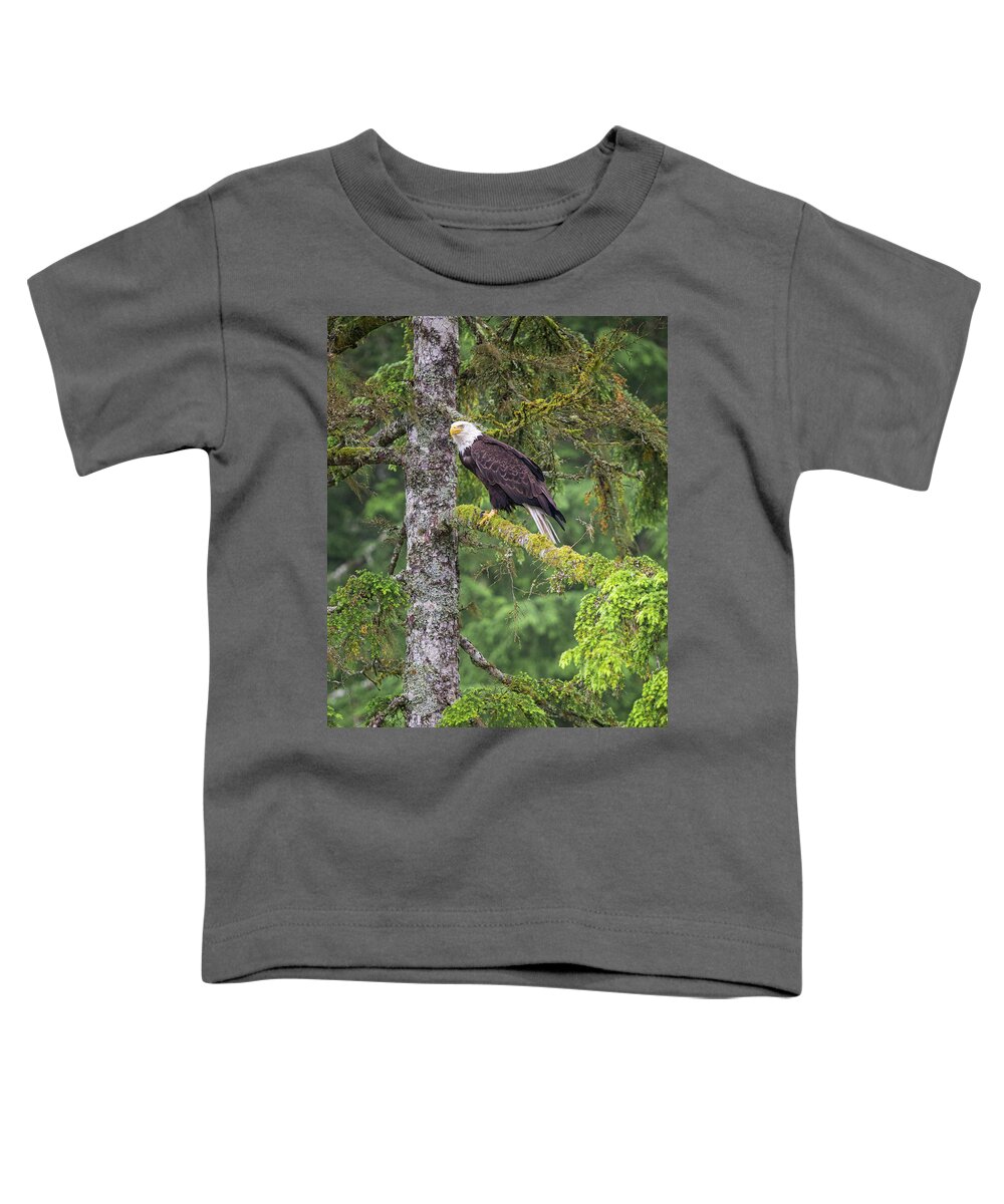 Eagle Toddler T-Shirt featuring the photograph Eagle Tree by Michael Rauwolf