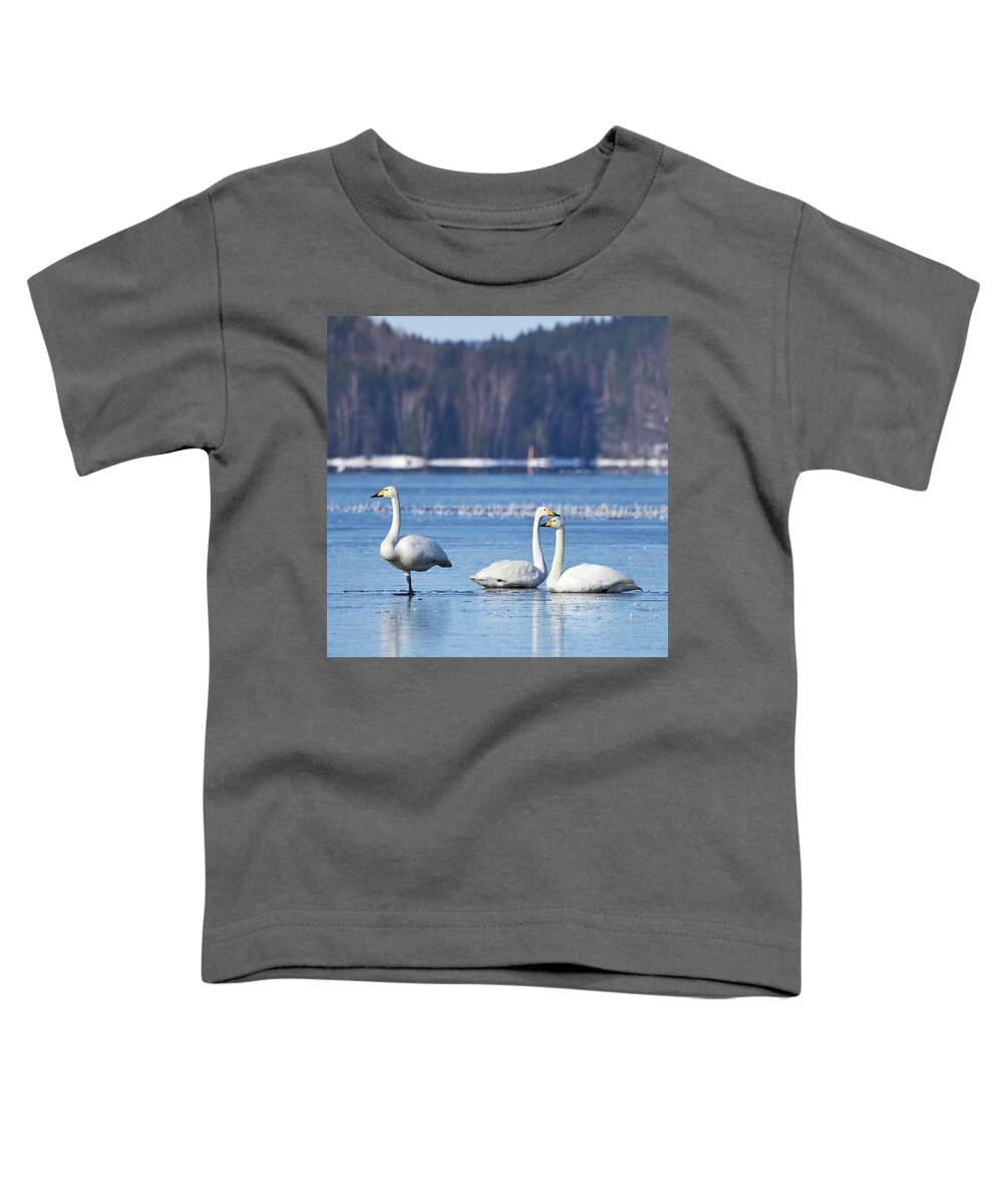 Finland Toddler T-Shirt featuring the photograph Egyptian style. Whooper Swan by Jouko Lehto