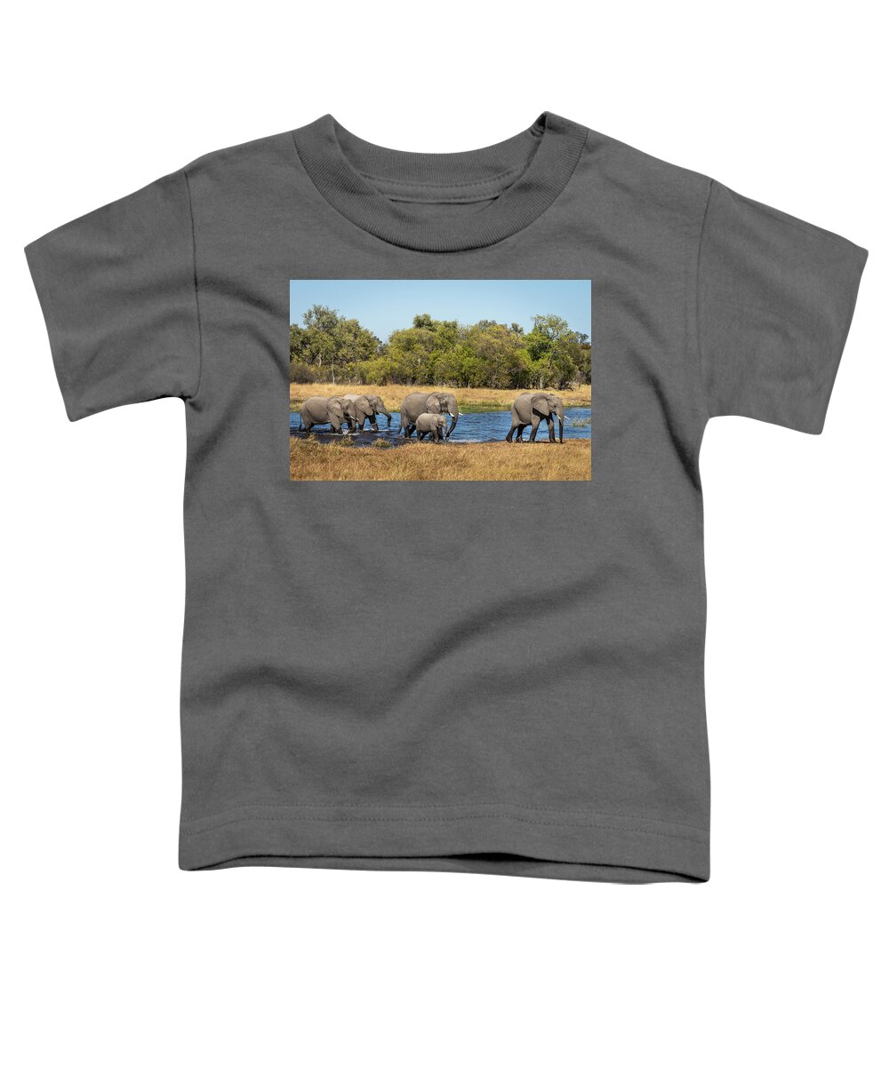 African Elephants Toddler T-Shirt featuring the photograph Elephants Crossing the River by Elvira Peretsman