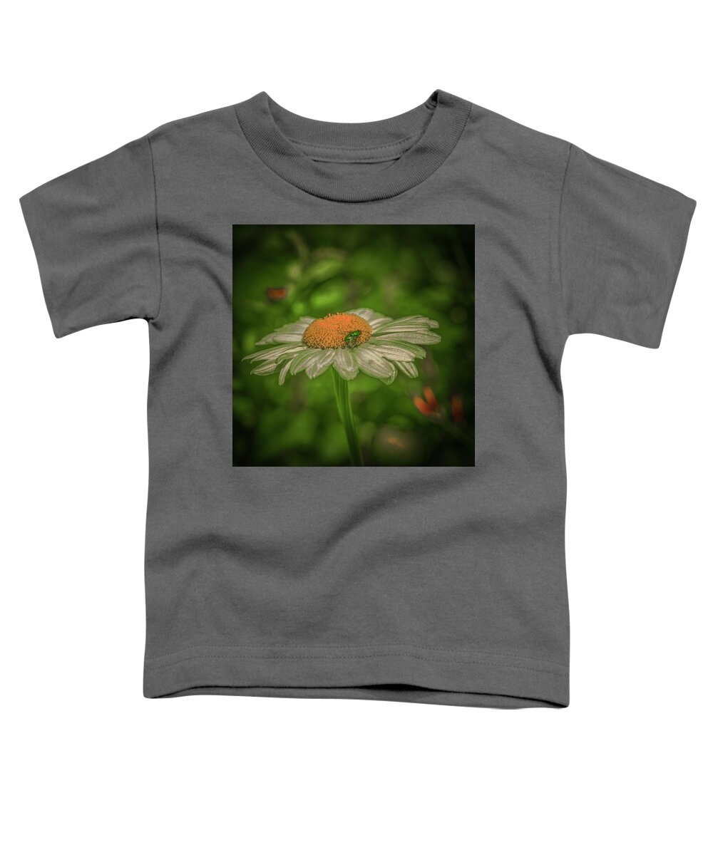 Elves Fly Toddler T-Shirt featuring the photograph Elves fly by Leif Sohlman
