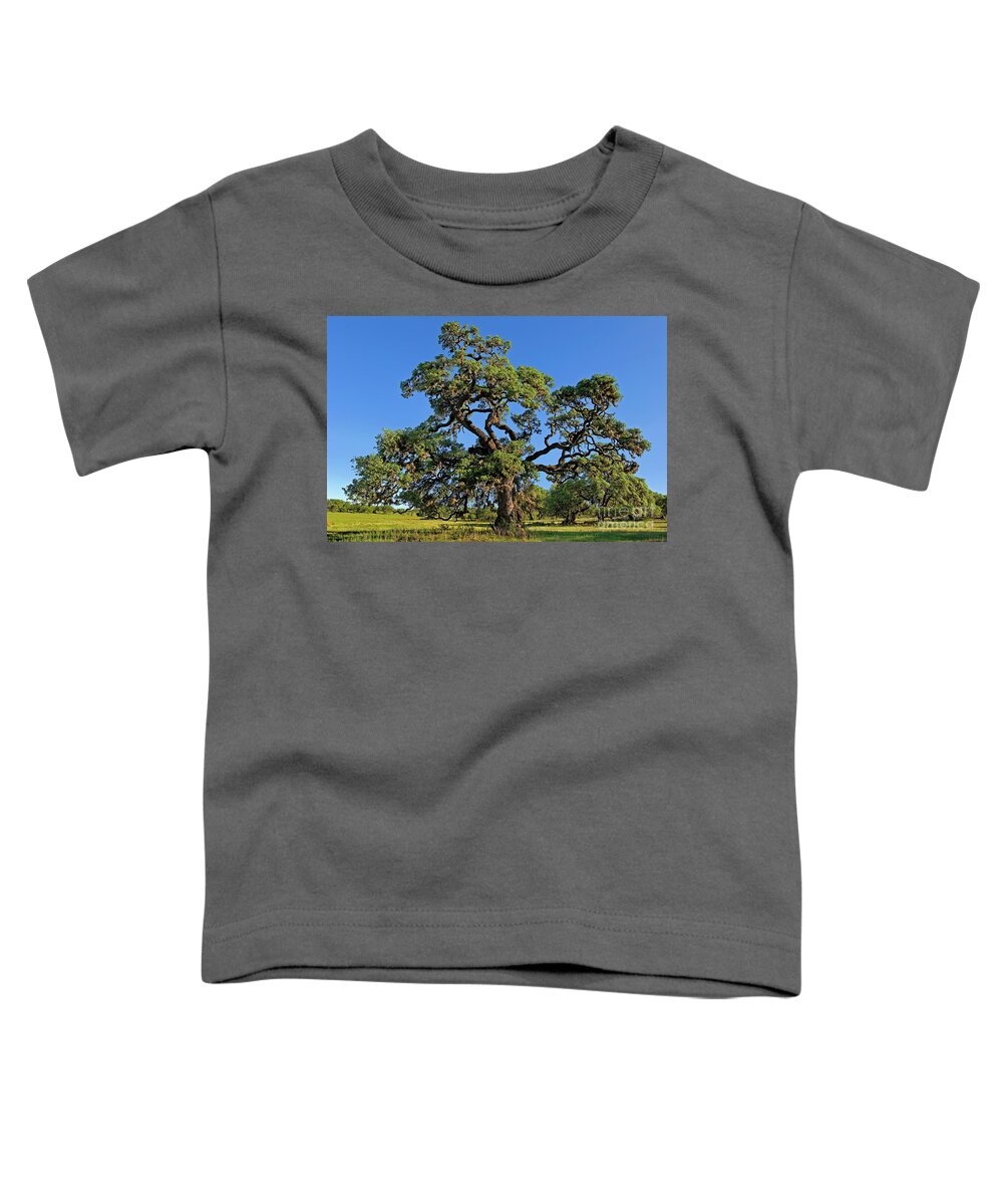 Dave Welling Toddler T-Shirt featuring the photograph Escarpment Oak Quercus Fusiformis Hill Country Texas by Dave Welling