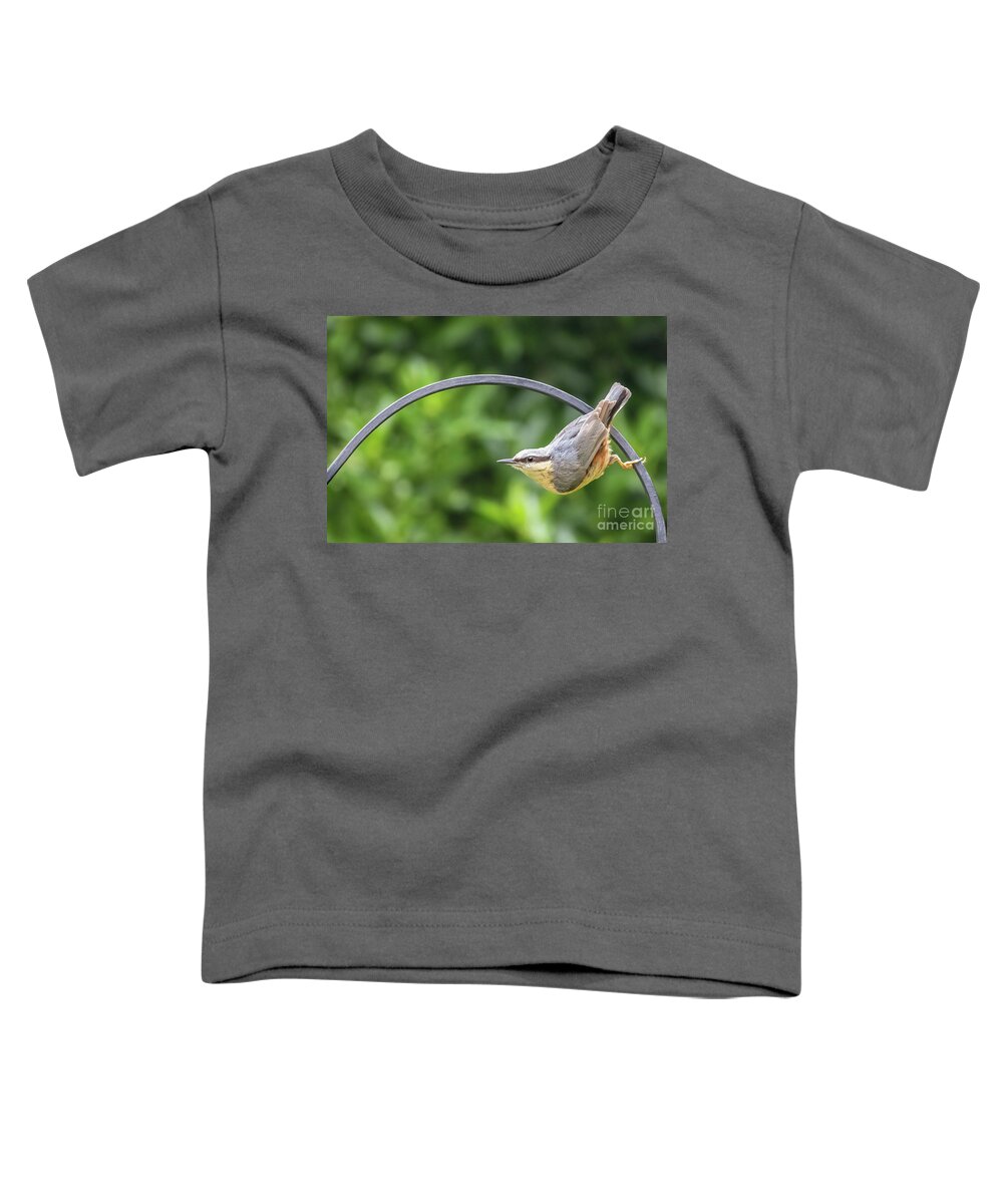 Nuthatch Toddler T-Shirt featuring the photograph Eurasian nuthatch perched on a metal railing by Jane Rix