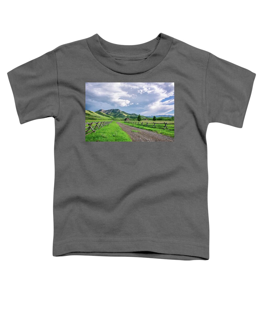 Tom Miner Basin Toddler T-Shirt featuring the photograph Evening in the Tom Miner Basin by Douglas Wielfaert